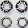 Rear Bearing and Seal Kit (Double Row) Race [#1163]