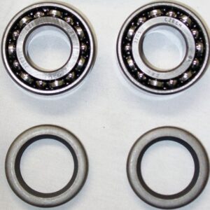 Rear Bearing and Seal Kit (Double Row) Race [#1163]