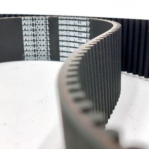 1440 8MM 50 2" WIDE BELT (56.7") [#8146]